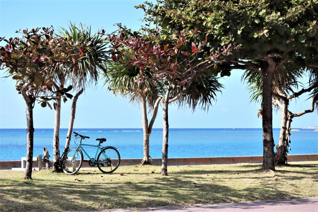 自転車で海沿いを走るイメージ写真