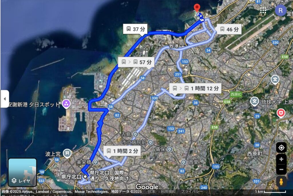 宜野湾空港線利用全体像
