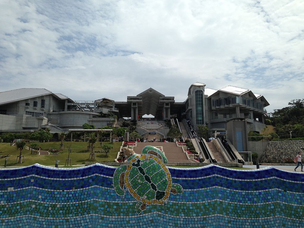 美ら海水族館