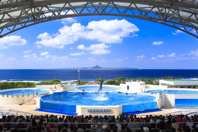 美ら海水族館の沖ちゃん劇場（公式画像）