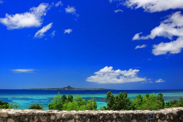 美ら海水族館周辺