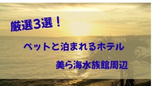 美ら海水族館周辺ペットと泊まれるホテル