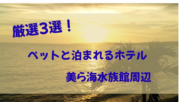 美ら海水族館周辺ペットと泊まれるホテル