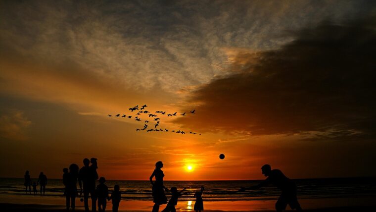 夕暮れの海辺で戯れる家族