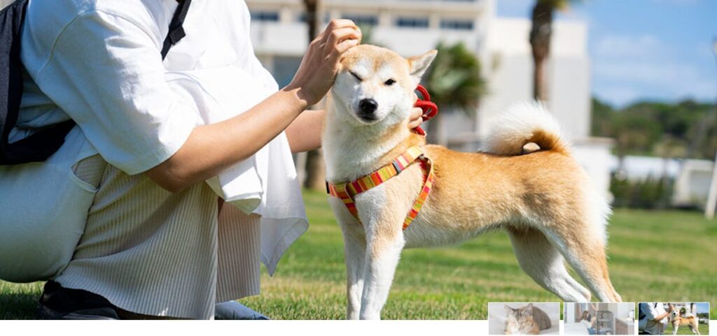 ホテル公式サイトより　ペットと触れ合う飼い主