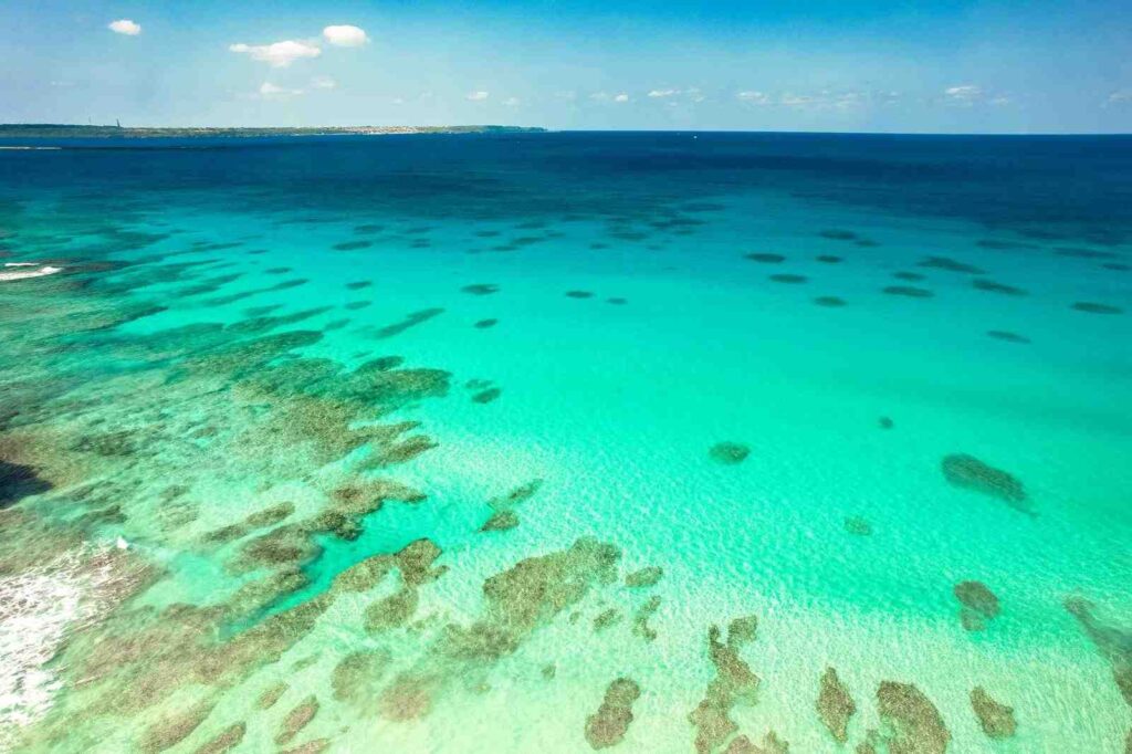 沖縄の海サンゴ礁
