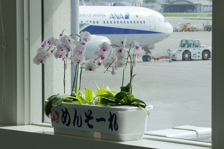 那覇空港(イメージ画像)