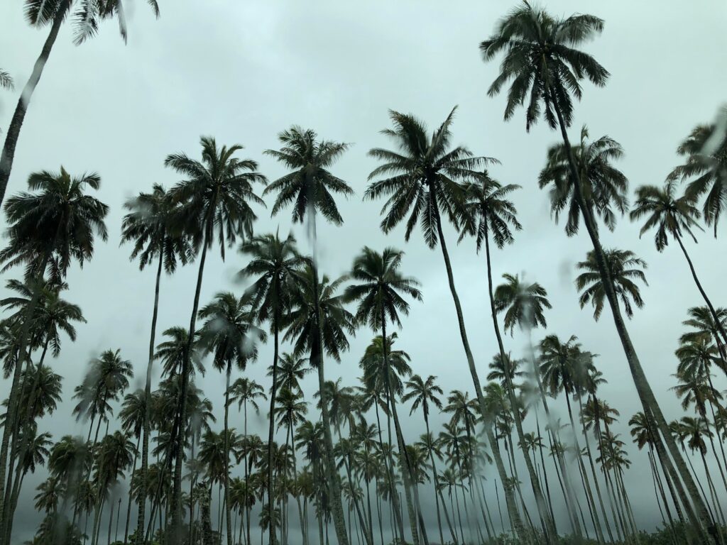 沖縄台風イメージ(公園)